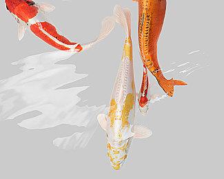 《最后生还者2》总监尼尔不会谈论新作 除非有人泄密